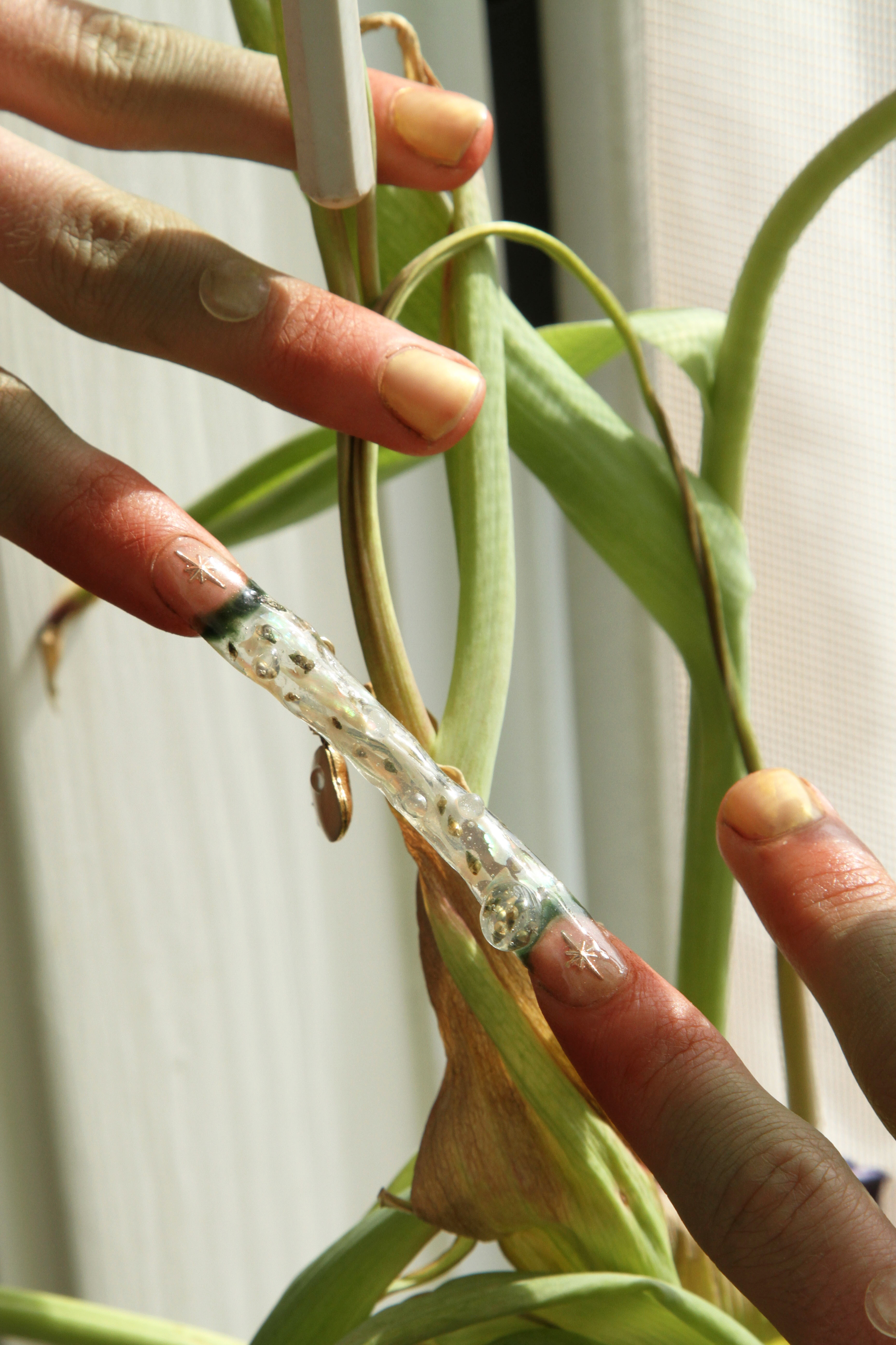 Two pointer fingers connected by a transparent nail sculpture full of tiny snails resting over a green plant stalk